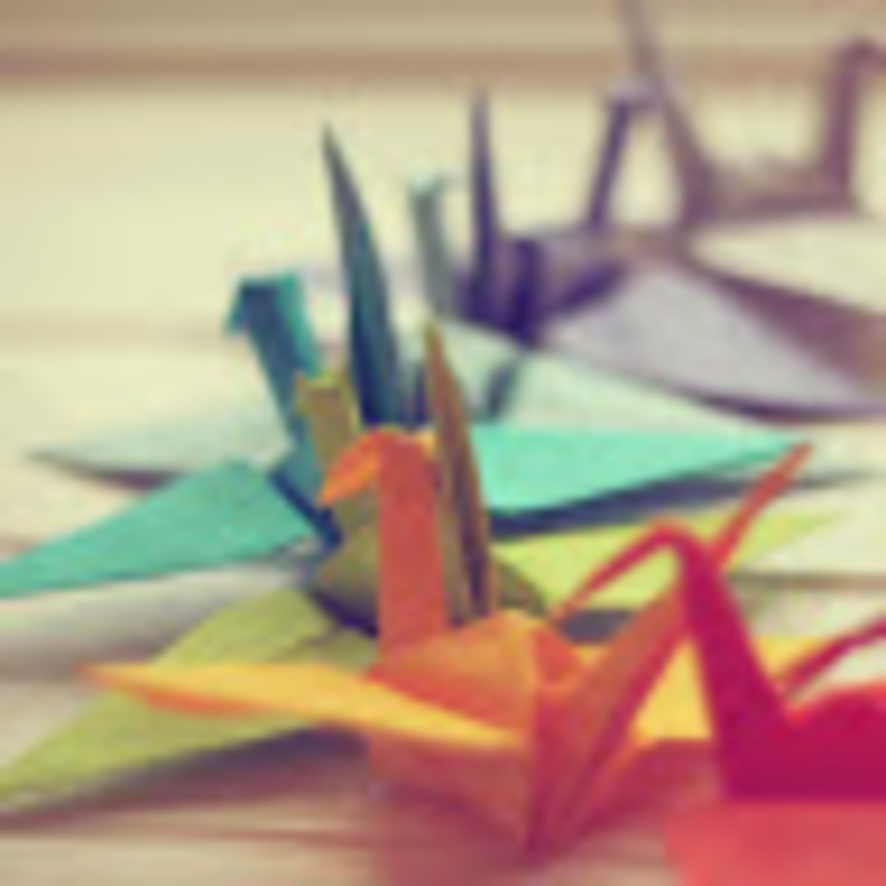 Meet your Posher, Salina